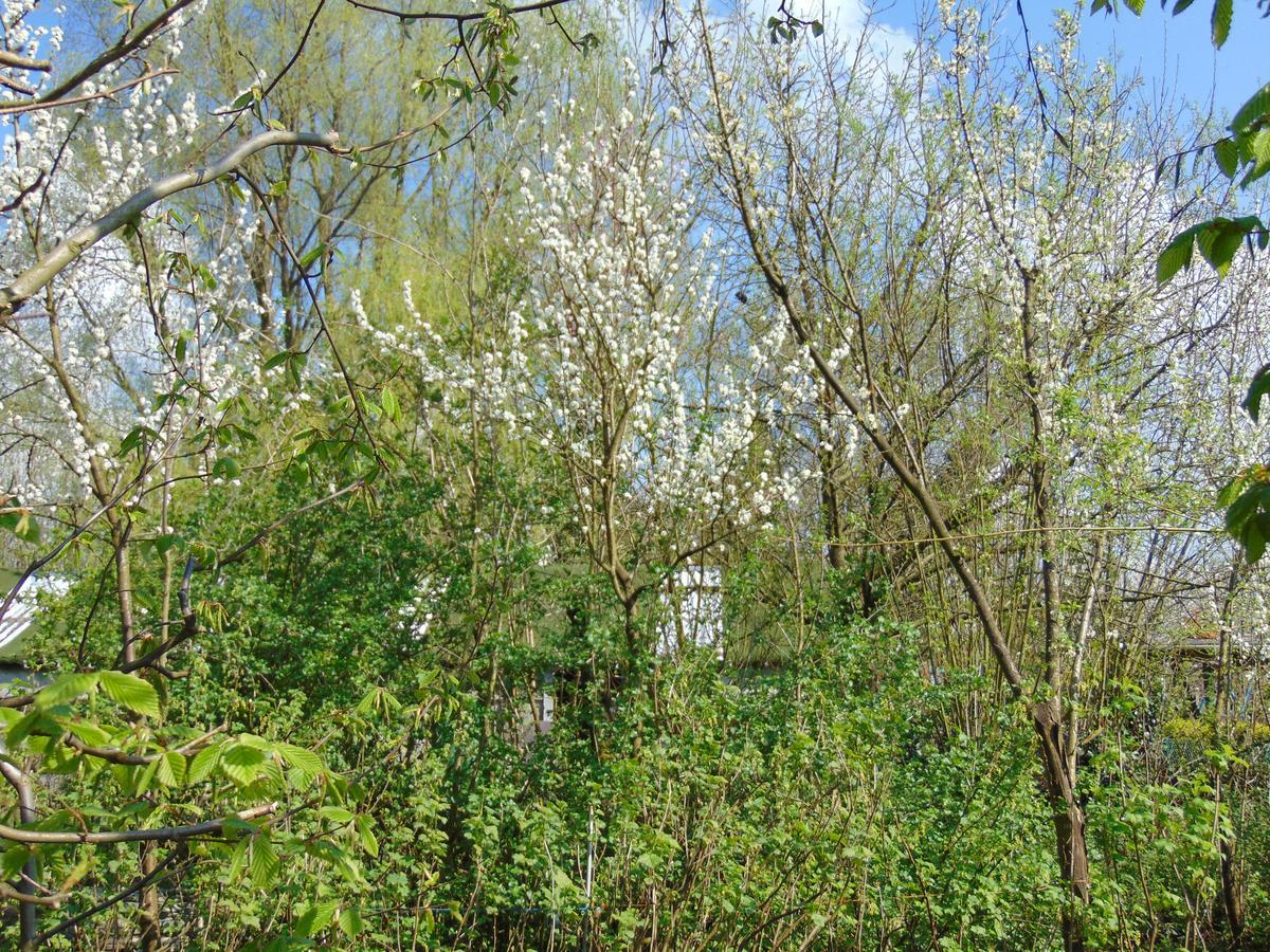 Bnb Heimdall Brecht ภายนอก รูปภาพ